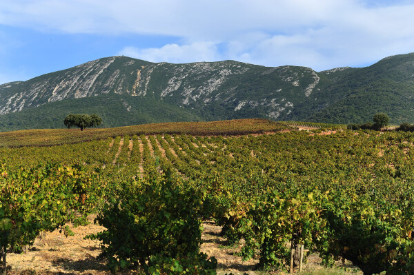 13 april Proeverij Setúbal
