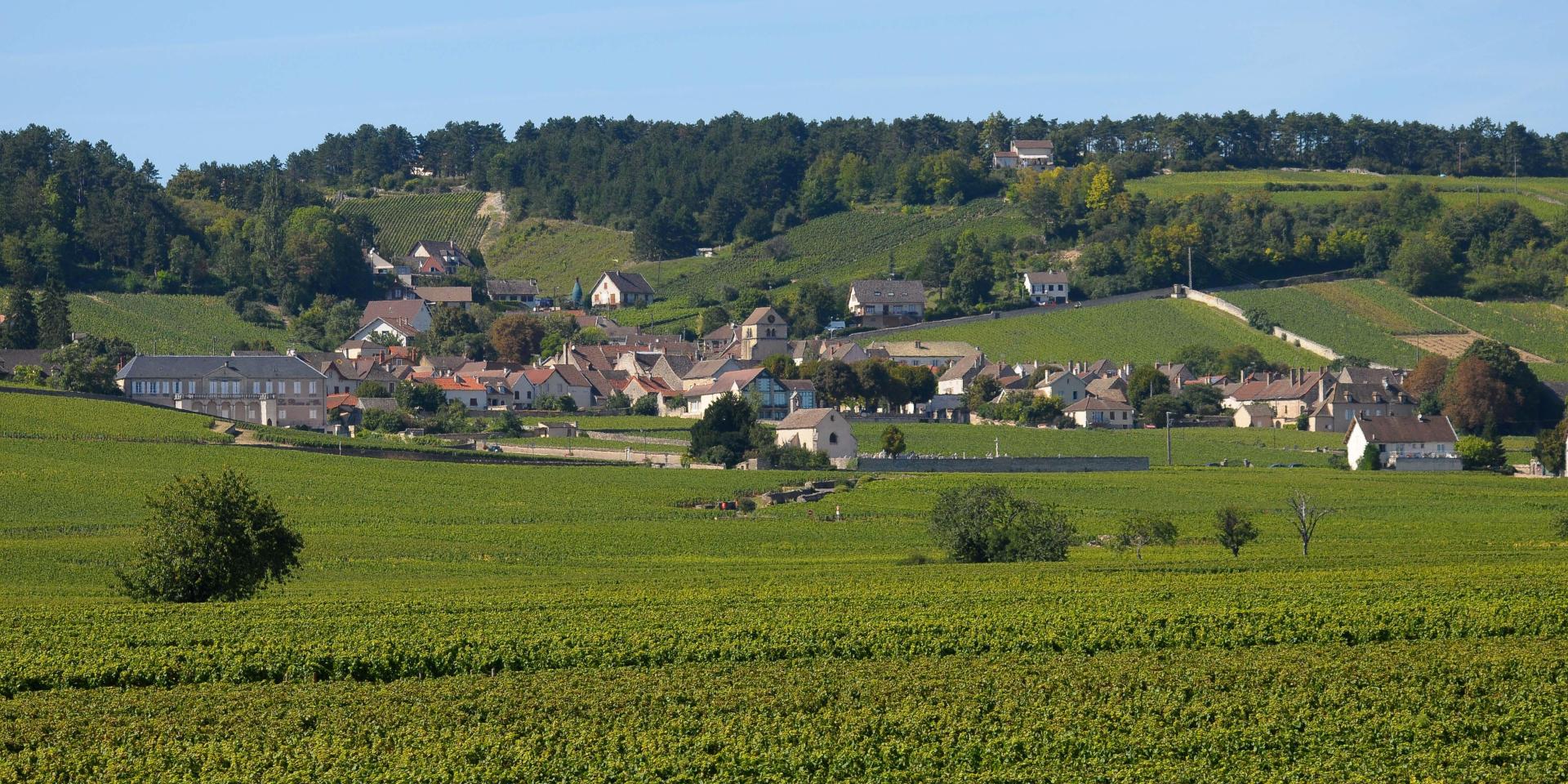 23 november Volnay